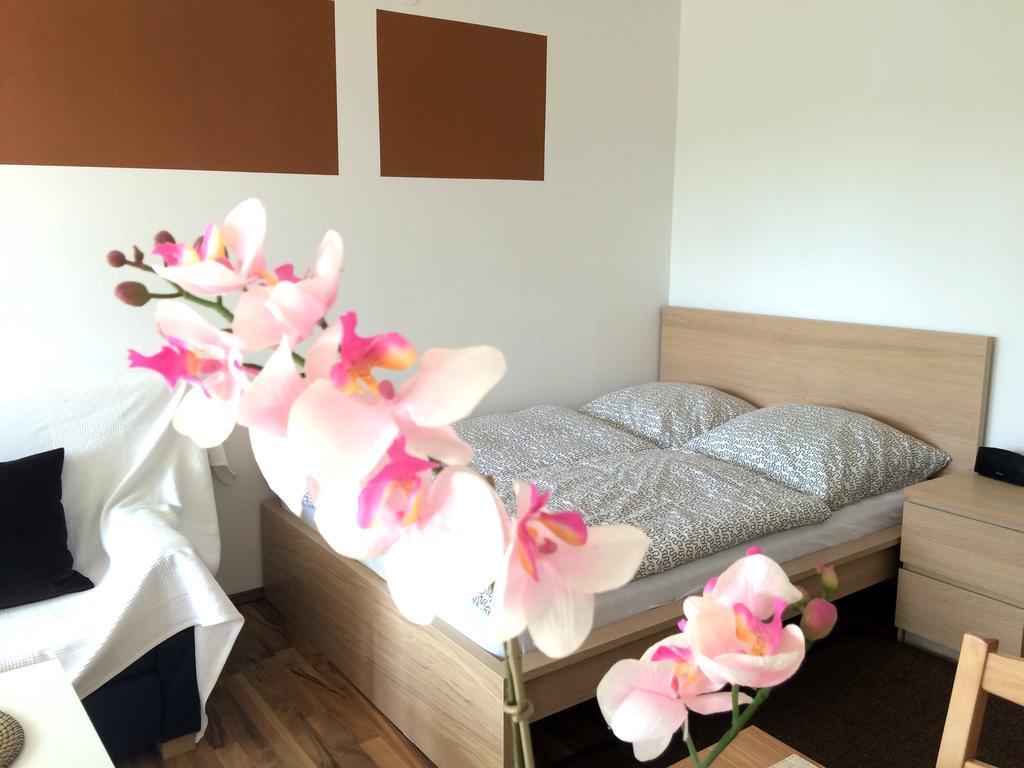 Apartment Sunshine เรเกนส์บวร์ก ห้อง รูปภาพ